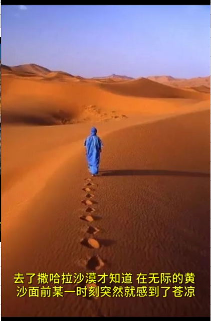 撒哈拉沙漠the Sahara
